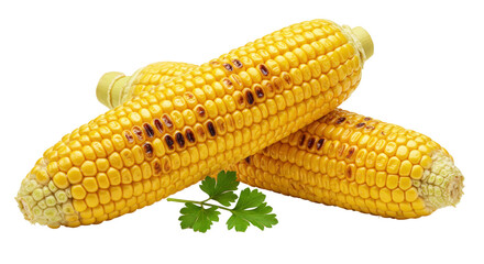 Isolated Grilled Corn