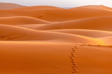Whispers in the Sands of the Sahara