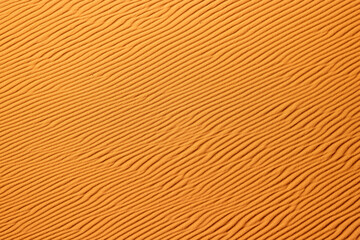 Fototapeta premium Wind’s Artistry in the Sahara