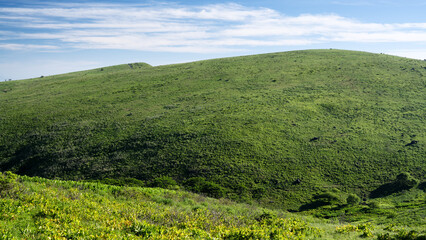 長野県諏訪市　夏の車山高原