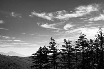 長野県諏訪市　夏の車山高原
