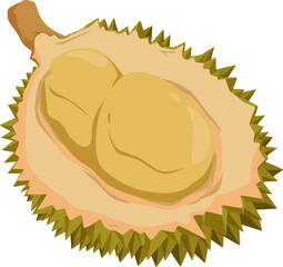 Geöffnete Durian mit Fruchtfleisch – intensiv im Aroma, exotisch und nährstoffreich.
