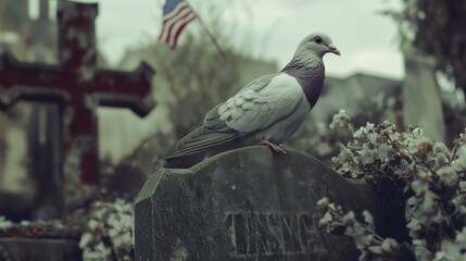 Obraz premium A pigeon perched atop a weathered tombstone in a cemetery