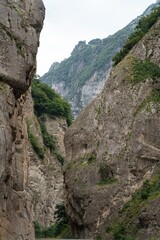 Rugged cliffs tower above a narrow gorge in North Ossetia, showcasing the stunning interplay of rock and greenery. The scene captures the untouched wilderness and immense scale of the terrain