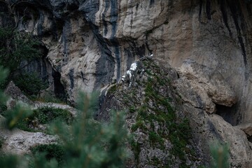 Obraz premium Majestic cliffs adorned with greenery rise in North Ossetia, capturing the essence of nature's artistry at dusk, creating a serene and mystical atmosphere