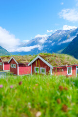 Traditional Scandinavian houses with moss on the roof. North. Nature in the fjords. Vacation and travel in summer Norway. Photo for background, wallpaper, postcards.