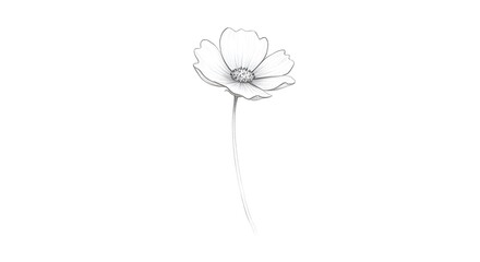 Simple sketch of a blooming flower