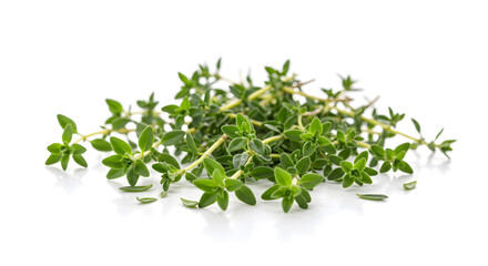 Pile of vibrant green thyme sprigs isolated on white surface ready for culinary use