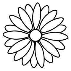 Daisy Flower Line Art