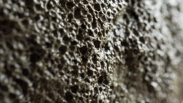 Basalt rock extreme surface close up stock footage