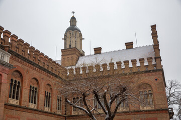 Chernivtsi National University Church in winter, Ukraine.
