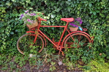 Fototapeta premium Rotes Fahrrad mit Blumemschmuck