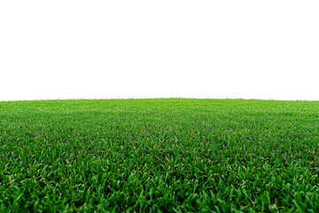 Fototapeta premium Green Field Horizon: A vibrant expanse of emerald green grass stretches towards the horizon, creating a sense of boundless space and natural serenity.