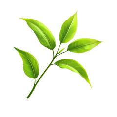 Obraz premium Fresh Tea Leaves: A vibrant sprig of fresh tea leaves, showcasing the crisp green of new growth, an epitome of natural goodness and health.