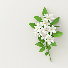 Obraz premium A delicate bouquet of pristine white flowers, blossoming with serene beauty against a minimalist white backdrop.