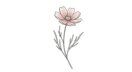 Soft Pink Flower Hand-Drawn Art