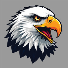 Vintage colorful angry eagle head mascot vector with white background