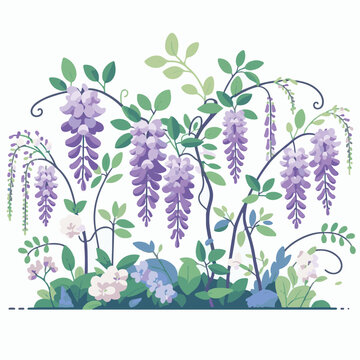 purple wisteria flowers blooming garden scene clip art preview