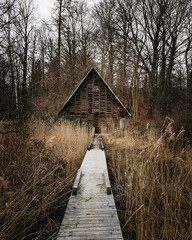 Cabin in the forest at Ammersse 
