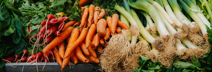 An extensive array of fresh and vibrant organic vegetables featuring a colorful mix of carrots, radishes, and leeks