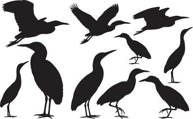 American Bittern Silhouette