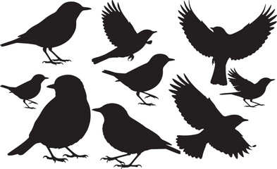 American Redstart Silhouette