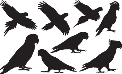 Australian King Parrot Silhouette