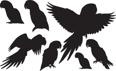 Blue-and-Yellow Macaw Silhouette
