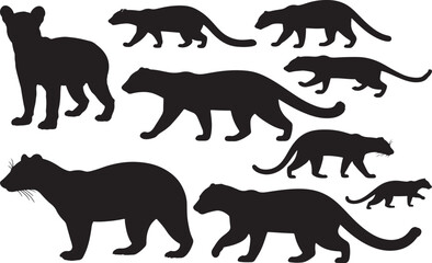 Fossa Silhouette