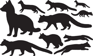 Genet Leaping Silhouette