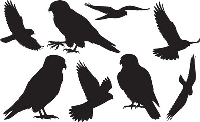 American Kestrel Silhouette