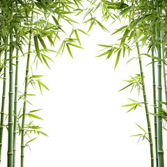 Fototapeta premium A bamboo forest setting for the Dragon Boat Festival, nature and tradition combined, isolated on a transparent background.