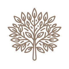 Minimalist Bay Tree Laurus Nobilis Vector Illustration