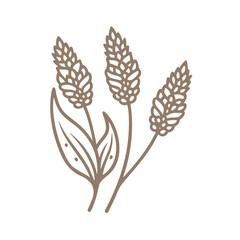 Bistort Flower Line Art Illustration, Minimalist Design