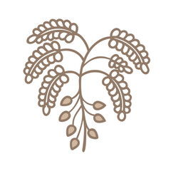 Cassia Fistula Line Art Illustration