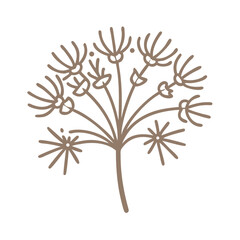 Naklejka premium Elegant Cyperus Esculentus Line Art Illustration