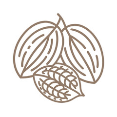 Minimalist Cocoa Leaves Line Art Illustration