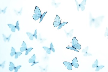 A gentle flurry of pale blue butterflies dancing on a bright, ethereal background, creating a serene and peaceful atmosphere.