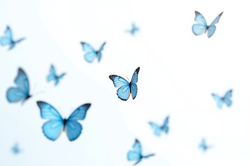 A gentle flutter of light blue butterflies dancing on a soft white background, evoking serenity and freedom.