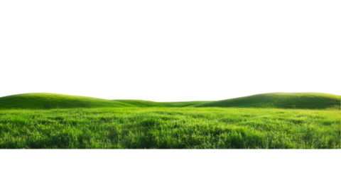 Rolling Green Hills Lush Grassland Landscape Nature Scenery