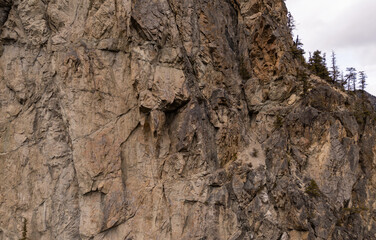 Rocky Cliff Face with Trees at a BC: Canada Mountainside