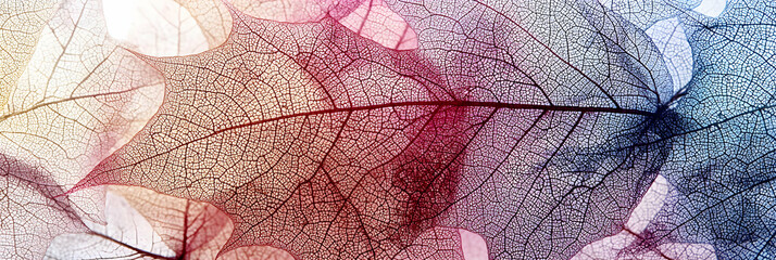 Abstract Colorful Leaf Texture Background