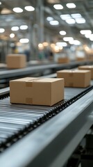 Boxes Conveyed Through a Large Industrial Warehouse Processing Facility