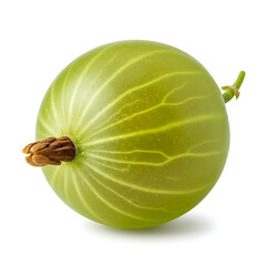 Fresh Green Gooseberry High-Resolution Image of a Single Gooseberry