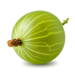 Fresh Green Gooseberry High-Resolution Image of a Single Gooseberry
