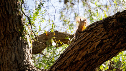 Obraz premium Malaga Alcazaba and City Hall