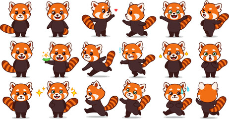 Fototapeta premium set of red panda