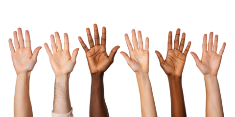 Unity in Diversity: An array of hands, each bearing a unique skin tone, reach upwards in a visual testament to the beauty of multiculturalism and the strength found in coming together.