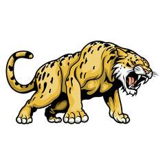 Ferocious Cartoon Saber-Toothed Tiger Mascot – Powerful Yellow Wild Cat with Sharp Fangs, Muscular Build, and Aggressive Expression – Vector Animal Character for Sports Logos, Esports, and Design