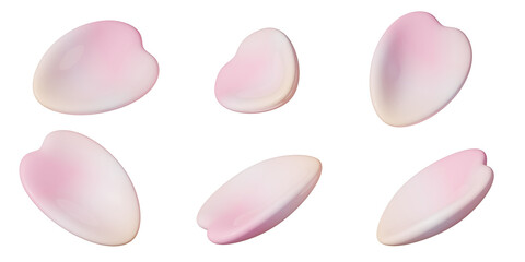 Glossy and Shiny Sakura, Cherry blossom Petals - 3D Illustration with Isolated Transparent Background
